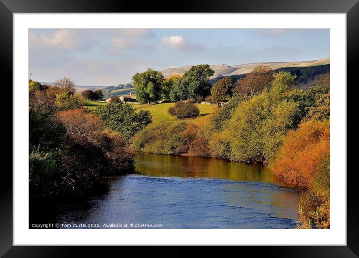 River Ure near Hawes Framed Mounted Print by Tom Curtis