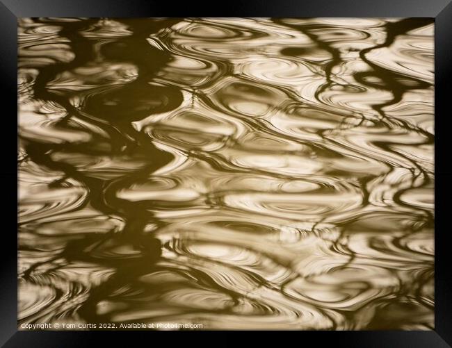 Ripples in Water Framed Print by Tom Curtis