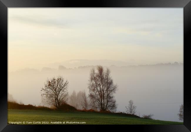 Foggy Morning Framed Print by Tom Curtis