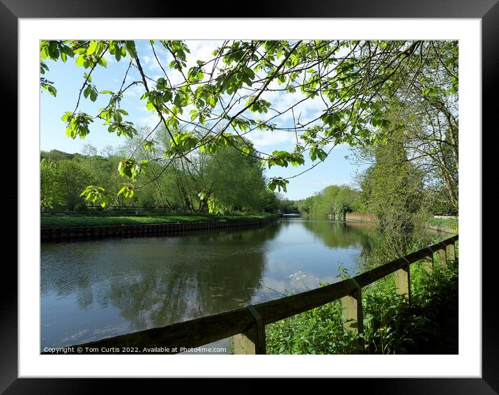 River Don Sprotbrough  Framed Mounted Print by Tom Curtis