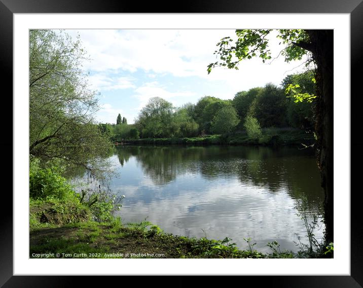 River Don at Sprotbrough Framed Mounted Print by Tom Curtis