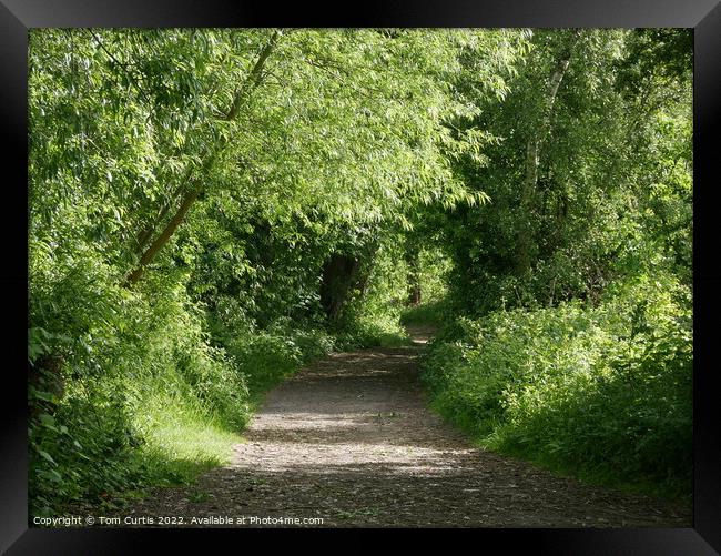 Path alongside River Dearne Framed Print by Tom Curtis