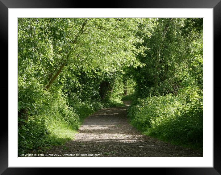 Path alongside River Dearne Framed Mounted Print by Tom Curtis