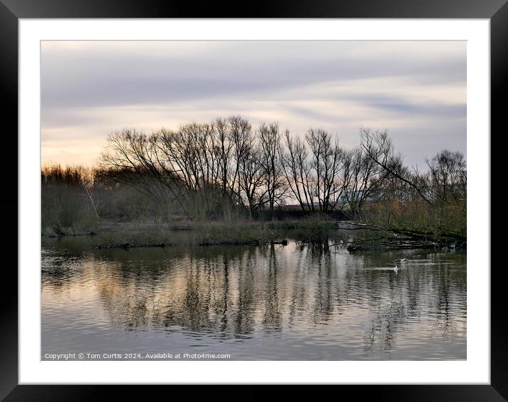 Reflection in the Lake Framed Mounted Print by Tom Curtis