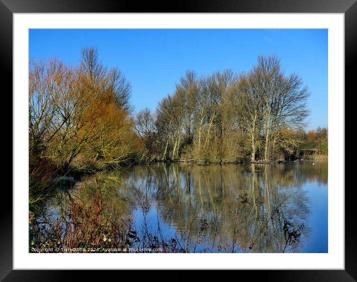Reflection of Trees in Water Framed Mounted Print by Tom Curtis