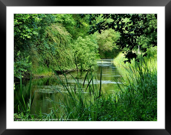 Barnsley Canal Framed Mounted Print by Tom Curtis