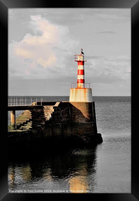 Lighthouse Amble Framed Print by Tom Curtis
