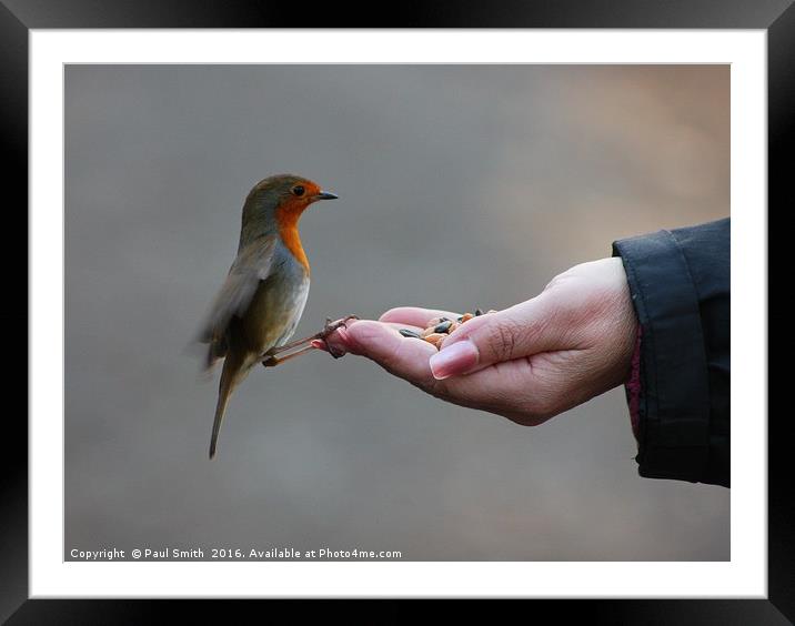 A Bird In The Hand Framed Mounted Print by Paul Smith