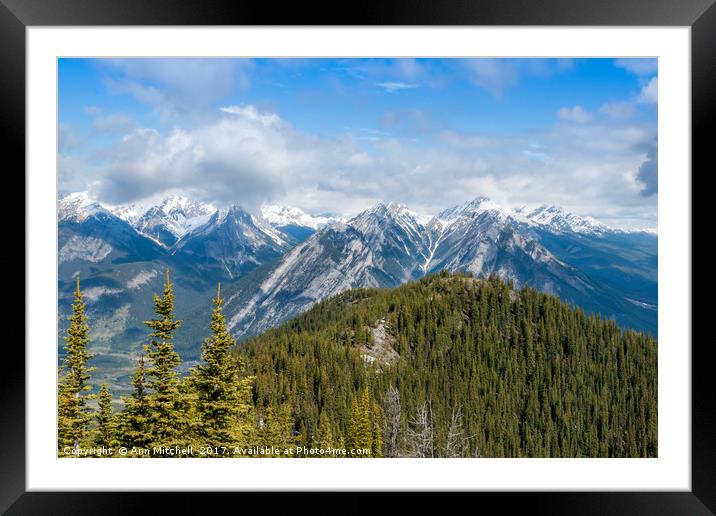 Mountain Range Banff National Park  Framed Mounted Print by Ann Mitchell