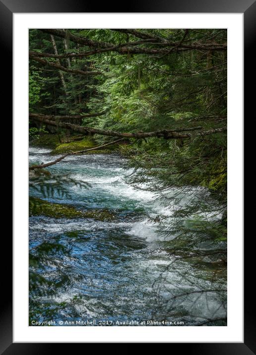 Mountain River Framed Mounted Print by Ann Mitchell