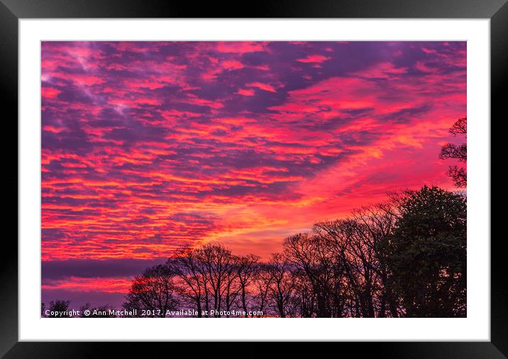 Sunset over Ormesby St Margaret Norfolk Framed Mounted Print by Ann Mitchell