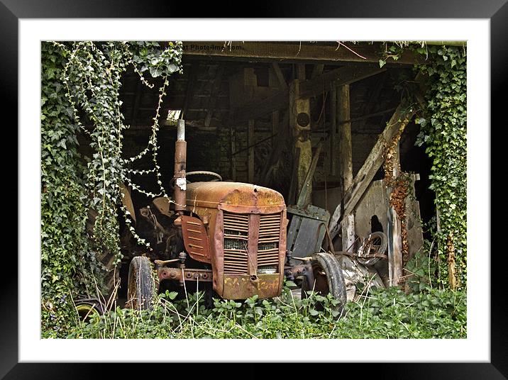  "Rusty Fergie" Vintage Ferguson Tractor in a Dila Framed Mounted Print by john hartley