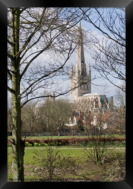  Anglican Cathedral Norwich Framed Print by john hartley