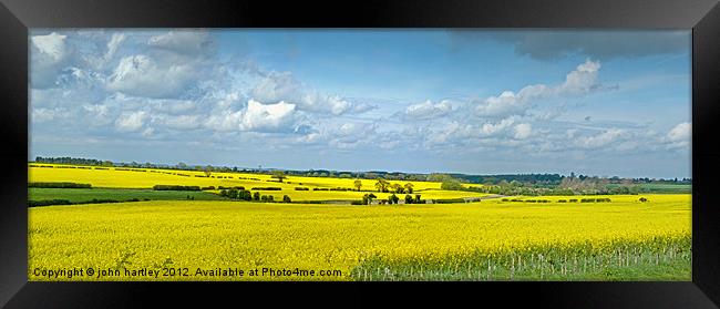 Mellow Yellow- Panoramic Rape Fields North Norfolk Framed Print by john hartley