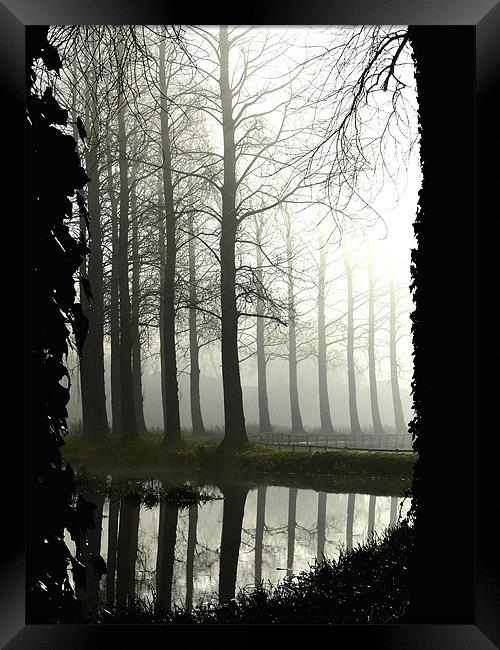 Mist River -shrouded in mist Poplar Tress by the R Framed Print by john hartley