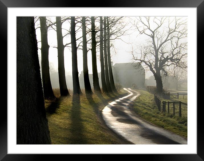 Sunbeams & Shadows Mill Lane Bintree Mill Norfolk Framed Mounted Print by john hartley