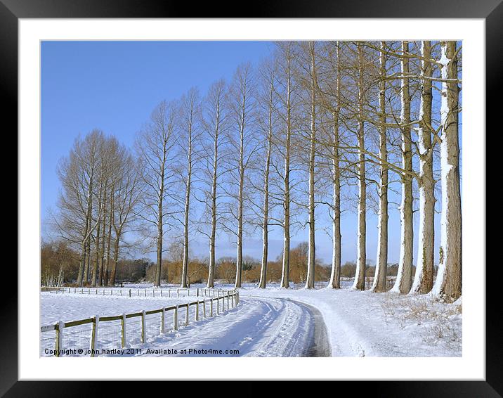 Sunny Winter country snow scene with poplar trees  Framed Mounted Print by john hartley