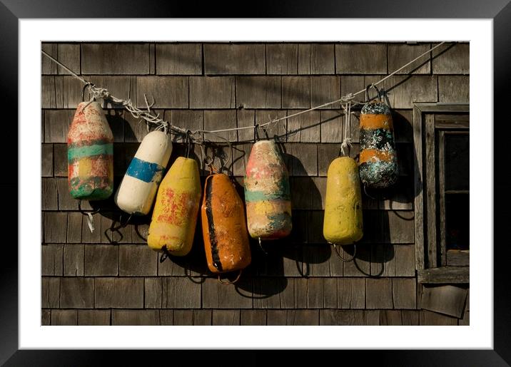 Peggys Cove Buoys Framed Mounted Print by Roxane Bay