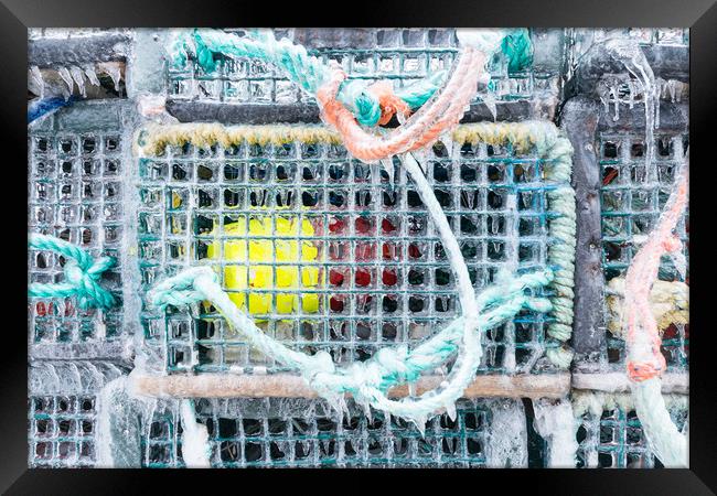Frozen Lobster traps Framed Print by Roxane Bay