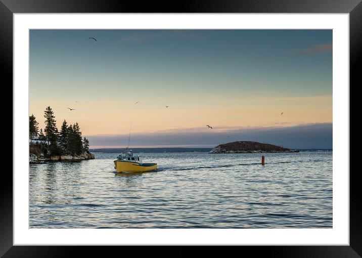Northwest Cove coming back to port Framed Mounted Print by Roxane Bay