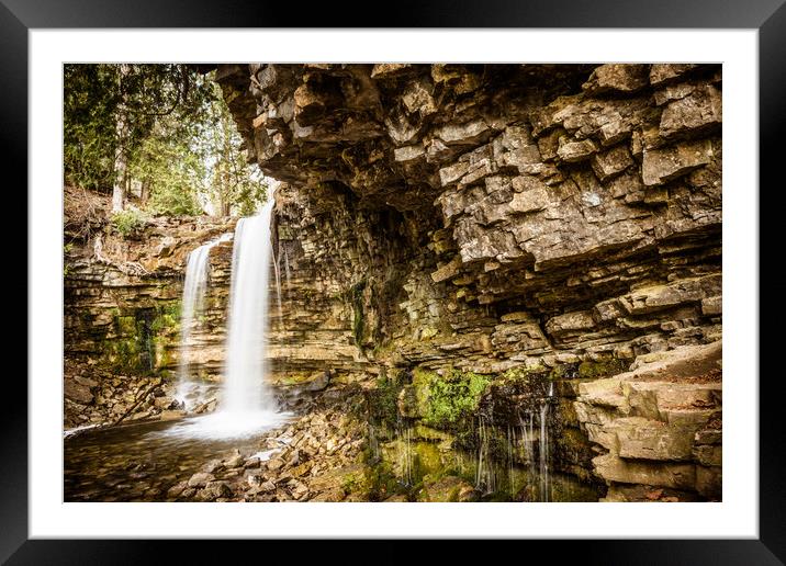 Hilton Falls Conservation Framed Mounted Print by Roxane Bay