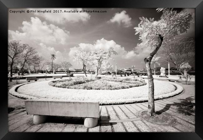 By the river in Hue Framed Print by Phil Wingfield