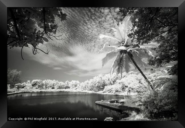 Tank at Ullal Framed Print by Phil Wingfield