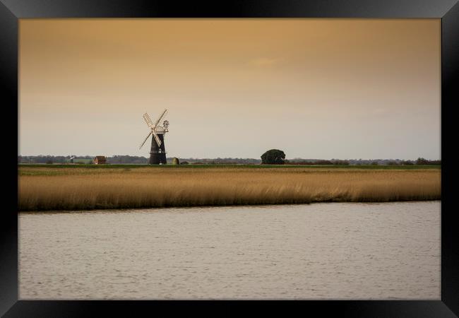 Berney Arms windmill on the Norfolk Broads Framed Print by Mark Hawkes