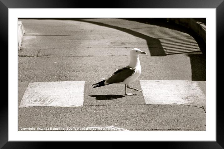 Seagull Crossing Framed Mounted Print by Linda Rampling