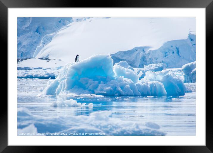Adélie penguin on an iceberg Framed Mounted Print by Sebastien Greber