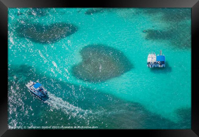 Heart Shaped Coral Reef Framed Print by Sebastien Greber