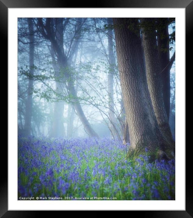Bluebells In The Mist Framed Mounted Print by Mark Stephens