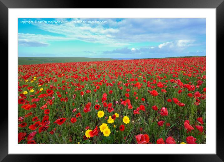 West Pentire Poppy Field in Cornwall Framed Mounted Print by Simon Maycock