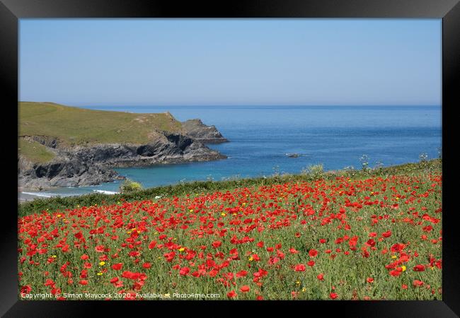 West Pentire poppy field Framed Print by Simon Maycock