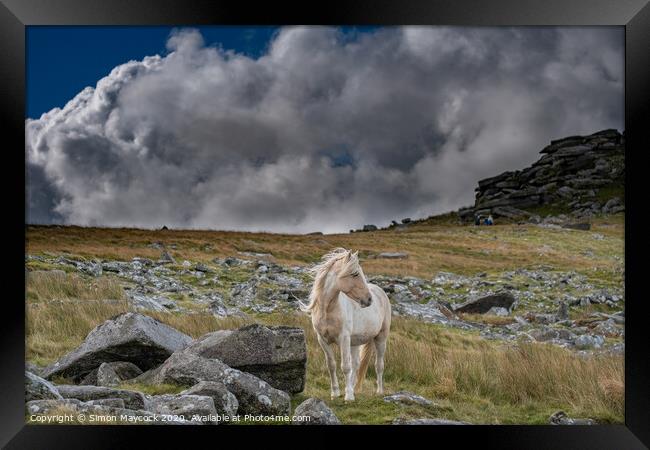 White horse at Roughtor Bodmin Framed Print by Simon Maycock
