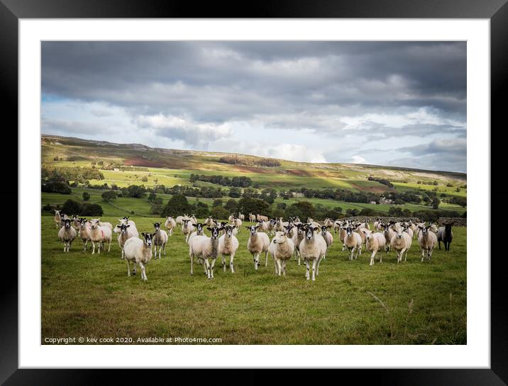 Ladies of the Dales Framed Mounted Print by kevin cook
