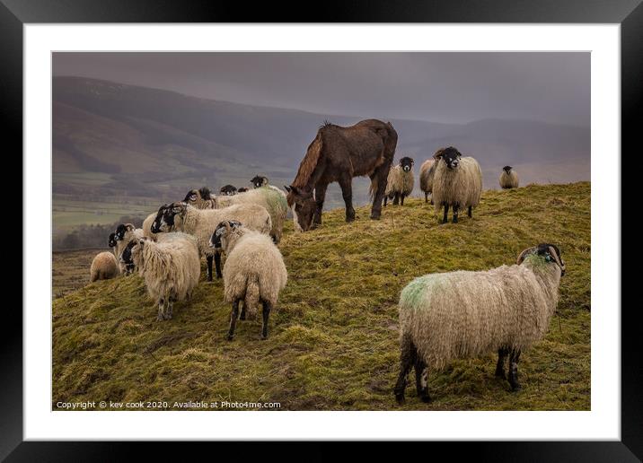 A wet day in yorkshire Framed Mounted Print by kevin cook