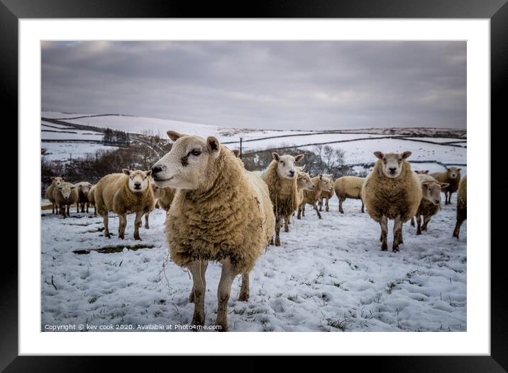 Baarbara Framed Mounted Print by kevin cook