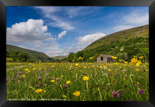 wildflower meadows Framed Print by kevin cook
