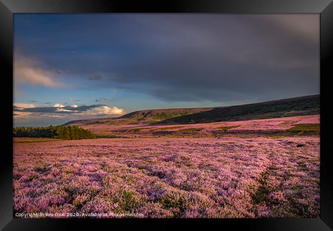 Sea of Heather Framed Print by kevin cook