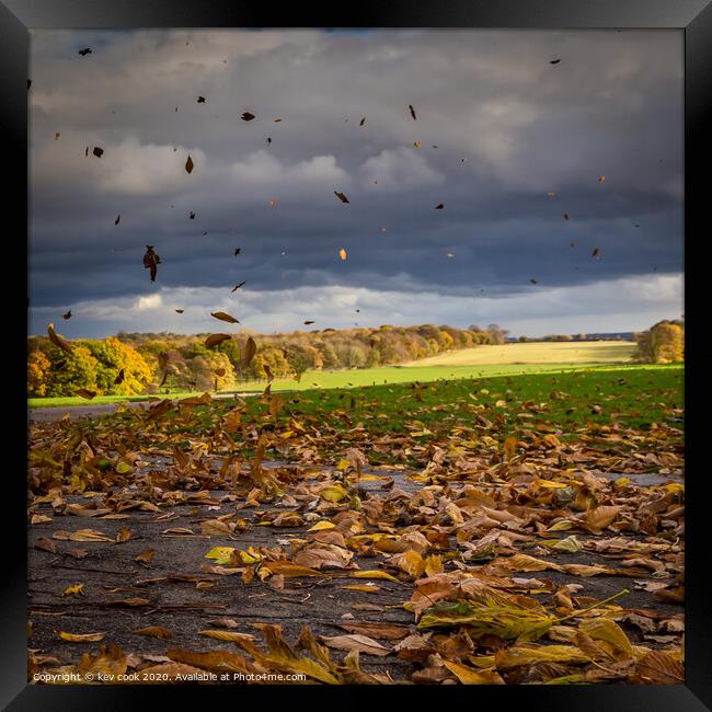 Autumn winds Framed Print by kevin cook