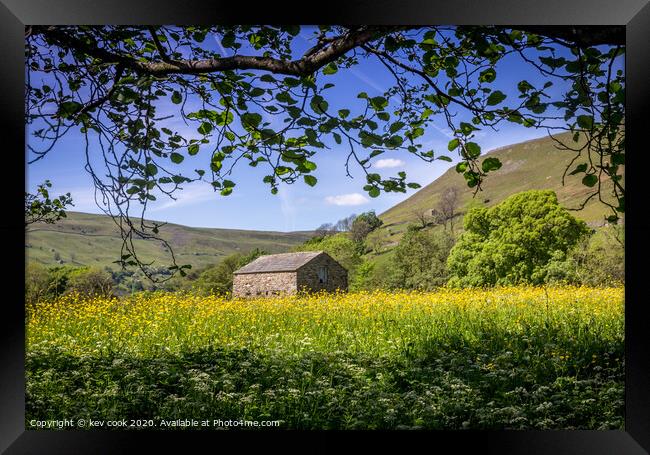 Wild meadow Framed Print by kevin cook