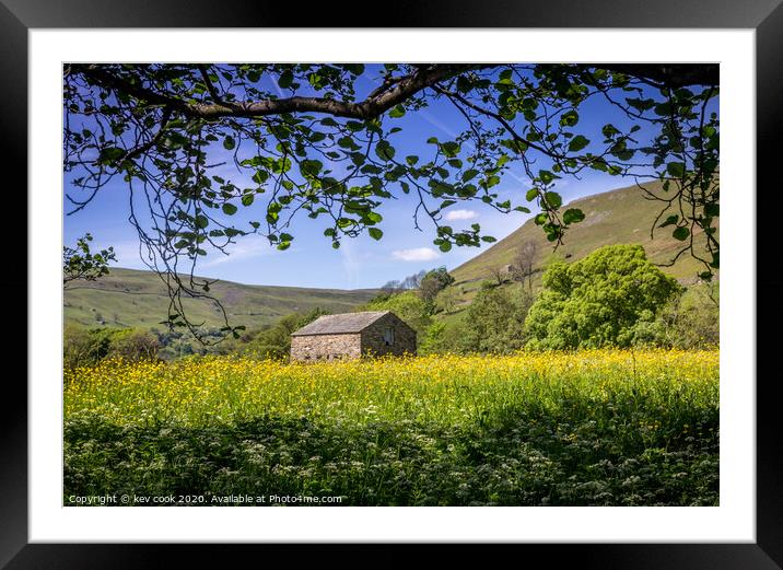 Wild meadow Framed Mounted Print by kevin cook