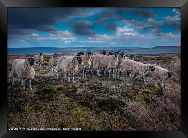 Grinton locals Framed Print by kevin cook