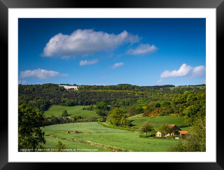 White horse Framed Mounted Print by kevin cook