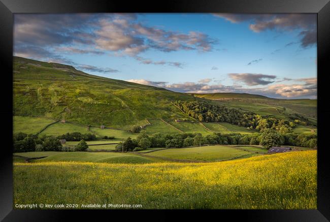 Swaledale buttercups Framed Print by kevin cook