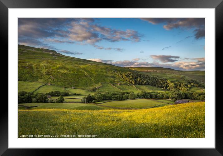 Swaledale buttercups Framed Mounted Print by kevin cook