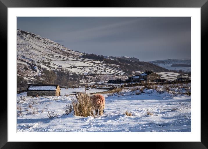 Hidden Framed Mounted Print by kevin cook