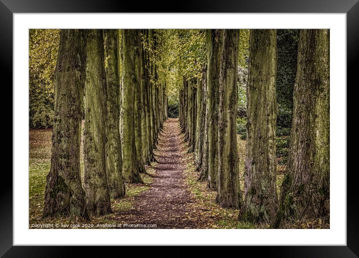 lucy's walk Framed Mounted Print by kevin cook