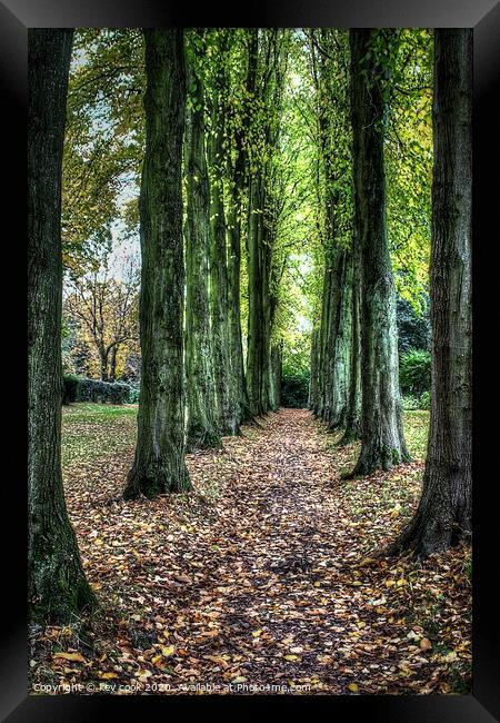 wentworth walk Framed Print by kevin cook